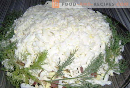 Weiße Salate - die besten Rezepte. Wie richtig und köstlich gekochter weißer Salat.