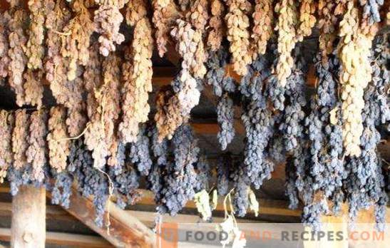 Comment faire des raisins secs à partir de raisins à la maison - économisez la récolte! Toutes les façons et des conseils sur la façon de faire de bons raisins secs à partir de raisins à la maison