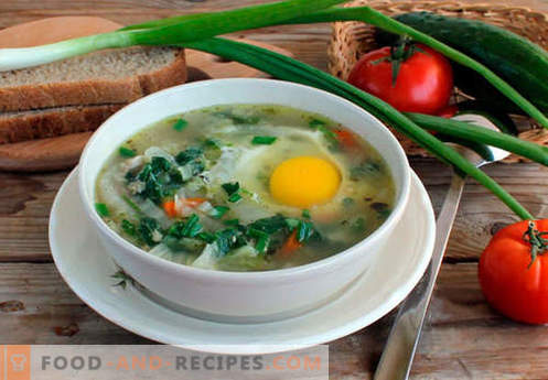 Brennnesselsuppe - Bewährte Rezepte. Wie man richtig und lecker gekochte Suppe von Brennessel.