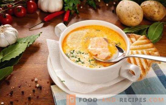 Fischsuppe - Suppe mit einzigartigem Geschmack! Rezepte für verschiedene Fischsuppe mit Konserven, frische Kadaver und Filets, Kohl, Bohnen