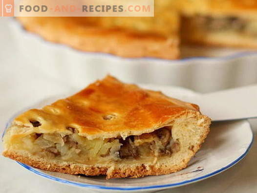 Pie mit Pilzen - die besten Rezepte. Wie man richtig und köstlich eine Torte mit Pilzen kocht.
