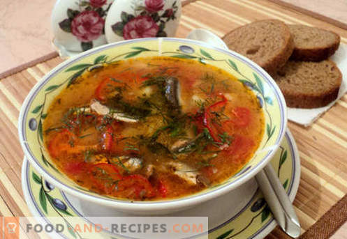 Tomatensprotten-Suppen - bewährte Rezepte. Wie man richtig und köstlich Tomatensprattensuppe kocht.