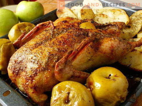 Duck with apples - the best recipes. How to properly and tasty cook a duck with apples.