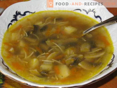 Pilzsuppe - die besten Rezepte. Wie man richtig und lecker Pilzsuppe kocht.