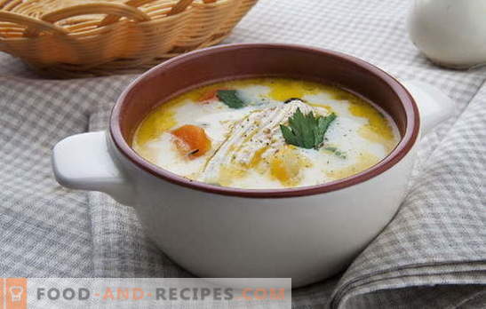 Über die Eigenschaften von Suppe mit geschmolzenem Käse und Hühnchen. Variationen zum Thema Julienne: hausgemachte Rezepte für Suppe mit Schmelzkäse und Hühnchen