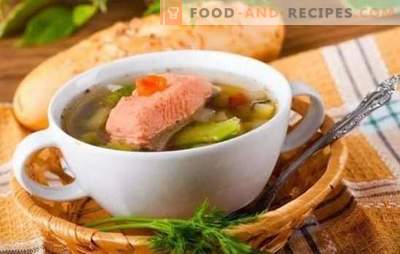 Forellenohr: Vorteile für den Körper und tadellosen Geschmack in einem Gericht. Die besten Rezepte Forellensuppe