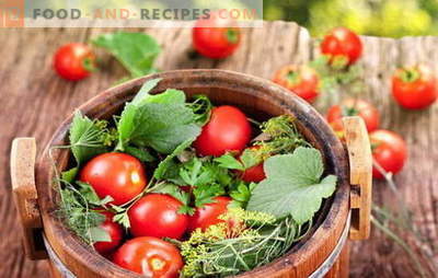 Grün und rot, der Geschmack ist wunderbar, salzige Tomaten in einem Fass für den Winter. Verschiedene Ernten von Tomaten in einem Fass für den Winter