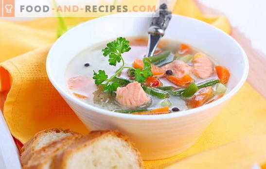 Schnell kochen - Suppen aus rosa Lachs in Dosen. Getestete beliebte Rezepte für Suppen aus rosa Lachs in Dosen