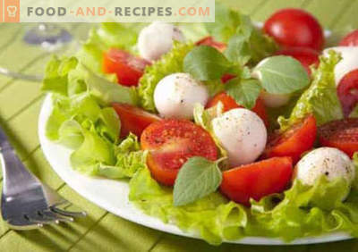 Salat mit Tomaten und Käse - bewährte kulinarische Rezepte. Wie man einen Salat mit Tomaten und Käse kocht.