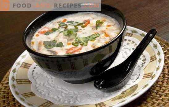 Kokosnussmilchsuppe ist ein Geschmacksspiel! Rezepte für verschiedene Suppen mit Kokosmilch für ein exotisches Menü