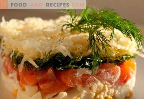 Salatfell mit Lachs - die richtigen Rezepte. Schnell und lecker kochen Salatmantel mit Lachs.