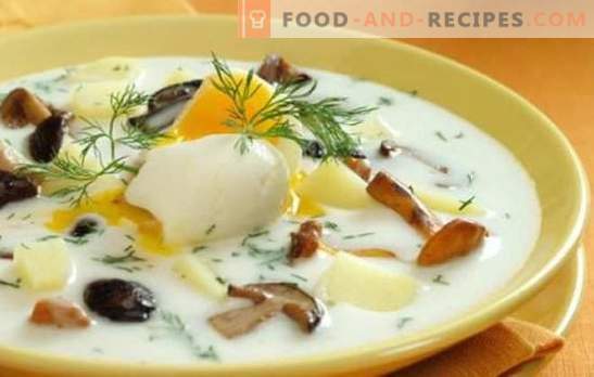 Pilzsuppe - es ist einfach und nützlich! Die einfachsten Rezepte für Pilzsuppe: mit Fleisch, Müsli, Töpfen, Pickle und Hodgepodge