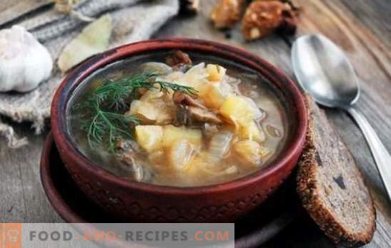 Sauerkrautsuppe mit Pilzen: traditionell und original. Geheimnisse der Krautsuppe mit Pilzen, Buchweizen, Bohnen, Gerste
