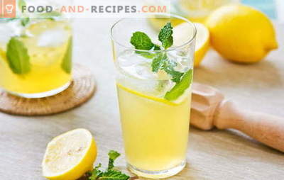 Zitronengetränk - Energie und Vitamine in einem Glas. Rezepte für Zitronengetränke: kühle Limonade oder warmer Sud