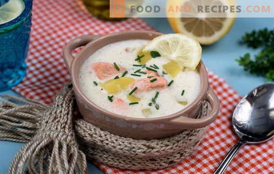 Kochen Sie köstliche finnische Suppe: Rezepte. Finnische Suppen aus frischem, frittiertem, geräuchertem und rotem Fisch in Dosen