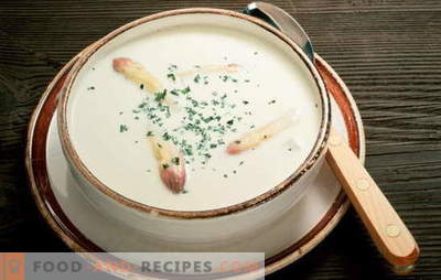 Soups for gastritis with low and high acidity. Recipes of meat, fish, vegetable, cereal soups for gastritis