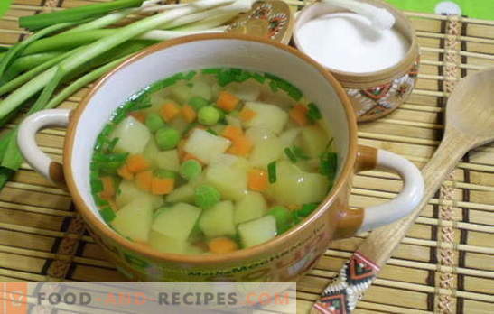Hausgemachte Suppe - 7 beste Rezepte. Alle Geheimnisse köstlicher hausgemachter Suppen von erfahrenen Hausfrauen: Suppe, Kharcho, Borschtsch, Ohr, Okroschka, Hodgepodge