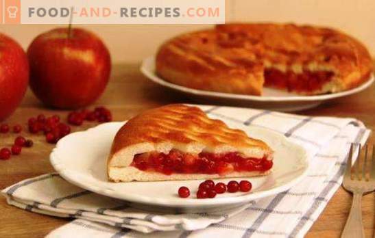 Apfel- und Preiselbeerpasteten - süße Abwechslung! Hefe, Blätterteig und Mürbeteig für eine Torte mit Äpfeln und Preiselbeeren