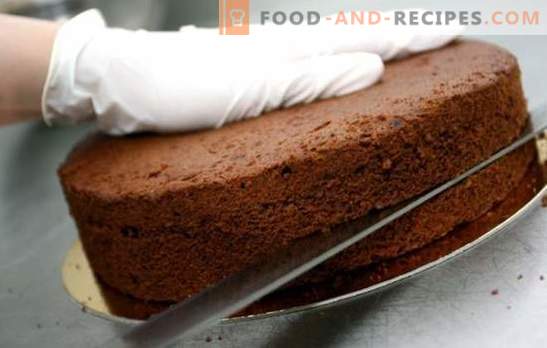 Kuchen für Kuchen - einfache Rezepte aus Biskuit-, Luft- und Mandelteig. Einfache Kuchenkuchen: Kochgeheimnisse