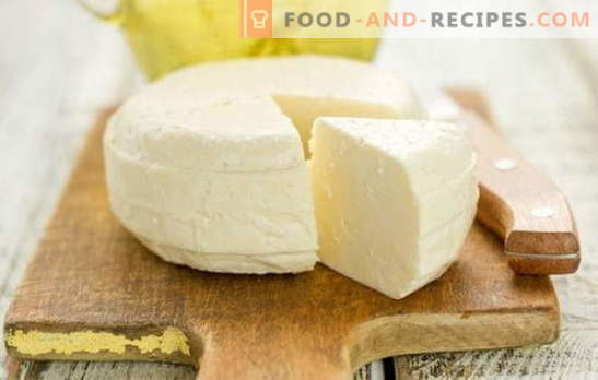 Selbst gemachter Käse aus Milch und Kefir ist ein köstliches, zartes und vor allem natürliches Produkt. Bewährte und originelle Rezepte von hausgemachtem Käse aus Milch und Joghurt
