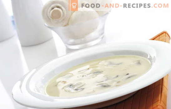 Champignon-Cremesuppe ist ein schwieriges, aber erschwingliches Gericht für jeden Geschmack. Champignoncremesuppe mit verschiedenen Variationen der Basis