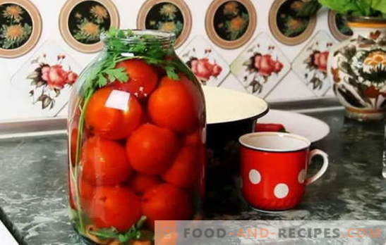 Die besten Rezepte für Tomaten unter der Capron-Hülle. So bereiten Sie Tomaten unter der Kapselhülle zu: Tipps von erfahrenen Hostessen