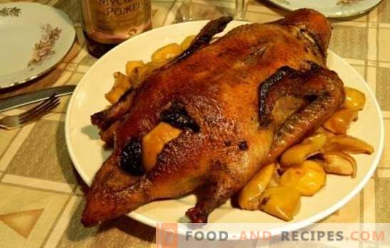 Ente mit Pflaumen - ein Gericht für echte Feinschmecker. Ente mit Pflaumen nach verschiedenen Rezepten auf dem Herd, im Slow Cooker und im Ofen kochen