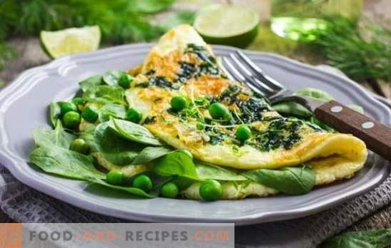 Diät-Omelett ist ein Geschenk für Kenner gesunder Ernährung. Rezepte diätgedämpftes Omelett, im Ofen, langsamer Kocher, Mikrowelle