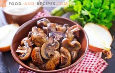 Champignons mit Zwiebeln - die Welt der Pilzphantasien! Gebackene und geröstete Champignons mit Zwiebeln in einer Pfanne im Ofen