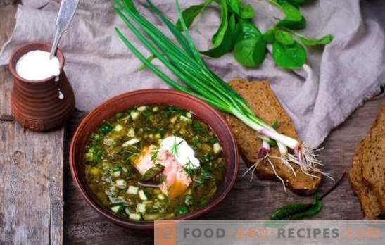 Russische Okroschka ist eine alte Suppe! Rezepte der traditionellen russischen Okroschka auf Kwas, Molke, Brühe, Joghurt