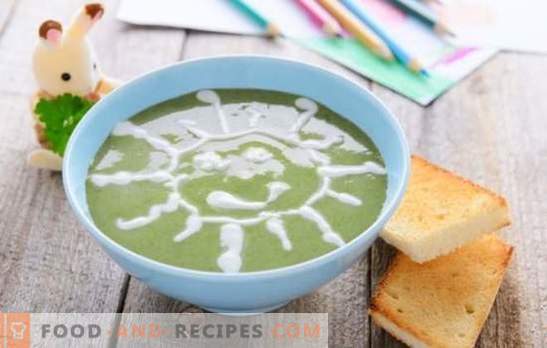 Suppenpüree für Kinder - Gerichte aus der Raumkarte! Eine Auswahl verschiedener Suppen für Kinder mit Getreide, Gemüse, Fleisch