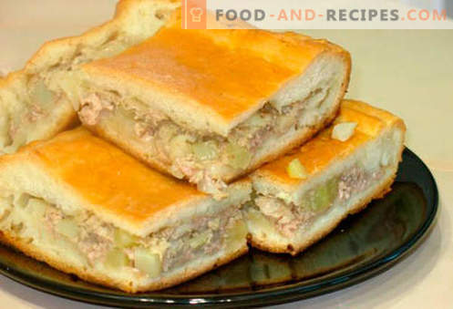 Kulebyaka mit Fleisch - die besten Rezepte. Wie man richtig und lecker Fleischpastete mit Fleisch kocht.