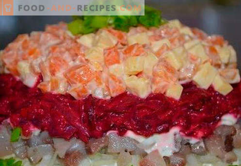 Salat mit Lachs überlagert - die richtigen Rezepte. Schnell und lecker gekochter Salat in Schichten mit Lachs.