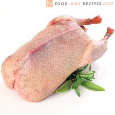 Mięso kaczki: korzyści i szkody