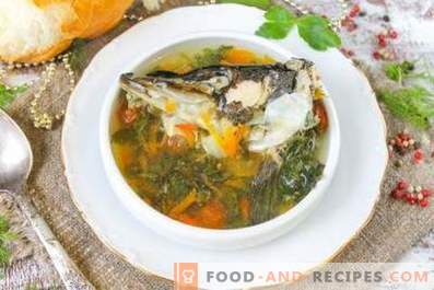 Was ist der Unterschied zwischen Fischsuppe und Fischsuppe?