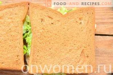 Sandwich mit Roggenbrot, Brust und Gurke
