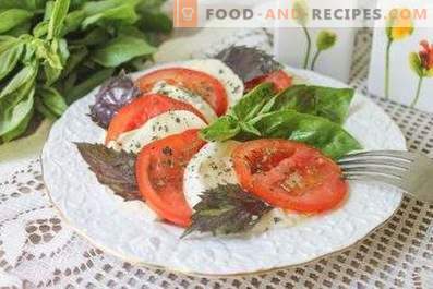 Salate mit Mozzarella und Tomaten