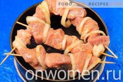 Schweinefleisch-Schaschlik im Ofen