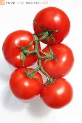 Tomaten: Nutzen und Schaden für den Körper