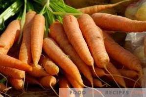 Wie man Karotten für den Winter einfriert