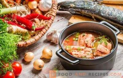 Rote Fischsuppe - ausgezeichneter Geschmack und maximaler Nutzen. Eine Auswahl der besten Rezepte der roten Fischsuppe mit Hirse, Tomaten, Roter Kaviar