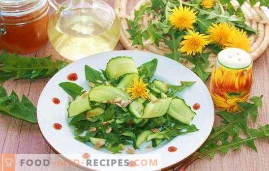 Löwenzahnblattsalat ist fast eine Medizin! Varianten von Löwenzahnblattsalaten mit Käse, Gemüse, Eiern, Früchten, Nüssen