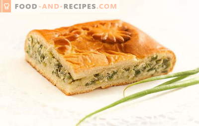 Green onion pie on yogurt - delicious homemade cakes. Recipes for pies with green onions on yogurt in the oven and multicooker