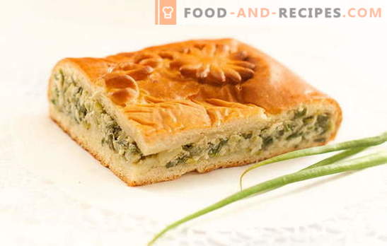 Grüne Zwiebeltorte auf Joghurt - köstliche hausgemachte Kuchen. Rezepte für Pasteten mit Frühlingszwiebeln auf Joghurt im Backofen und Multicooker