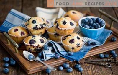 Cupcakes mit Blaubeeren: Haferflocken, Milchprodukte mit Kokosnuss und Zuckerguss. Die besten Rezepte für Blaubeer-Muffins - überraschen Sie Ihre Liebsten