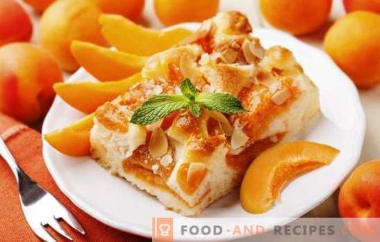 Pie mit Aprikosen von Julia Vysotskaya ist ein Meisterwerk! Rezepte der berühmten Aprikosentorte aus Vysotsky und deren Modifikationen