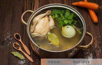 Wie man Suppe, Suppe, Saucen und andere Gerichte kocht. Rezepte: wie man Hühnerbrühe, Rindfleisch, Fisch, Schweinefleisch, Knochen