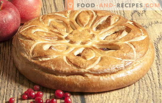 Apfelkuchen aus Hefeteig: nichts kompliziertes! Klassische und originelle Rezepte Hefe Apfelkuchen