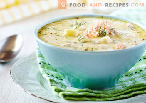 Cremesuppe - bewährte Rezepte. Wie man richtig und lecker Suppe mit Sahne kocht.