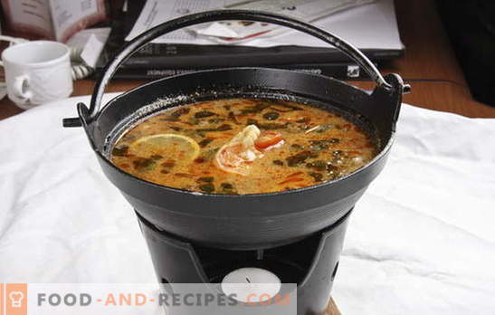 Thailändische Suppe ist in Ihrer Küche exotisch. Rezepte für thailändische Suppen mit Rindfleisch, Fisch, Huhn, Meeresfrüchten, Gemüse und Pilzen